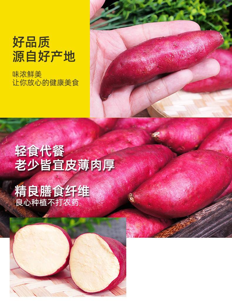 鲜妙芙 正宗临安天目山小香薯
