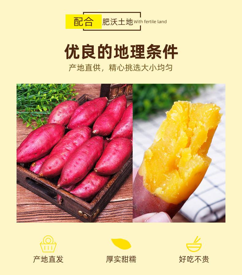 鲜妙芙 正宗临安天目山小香薯