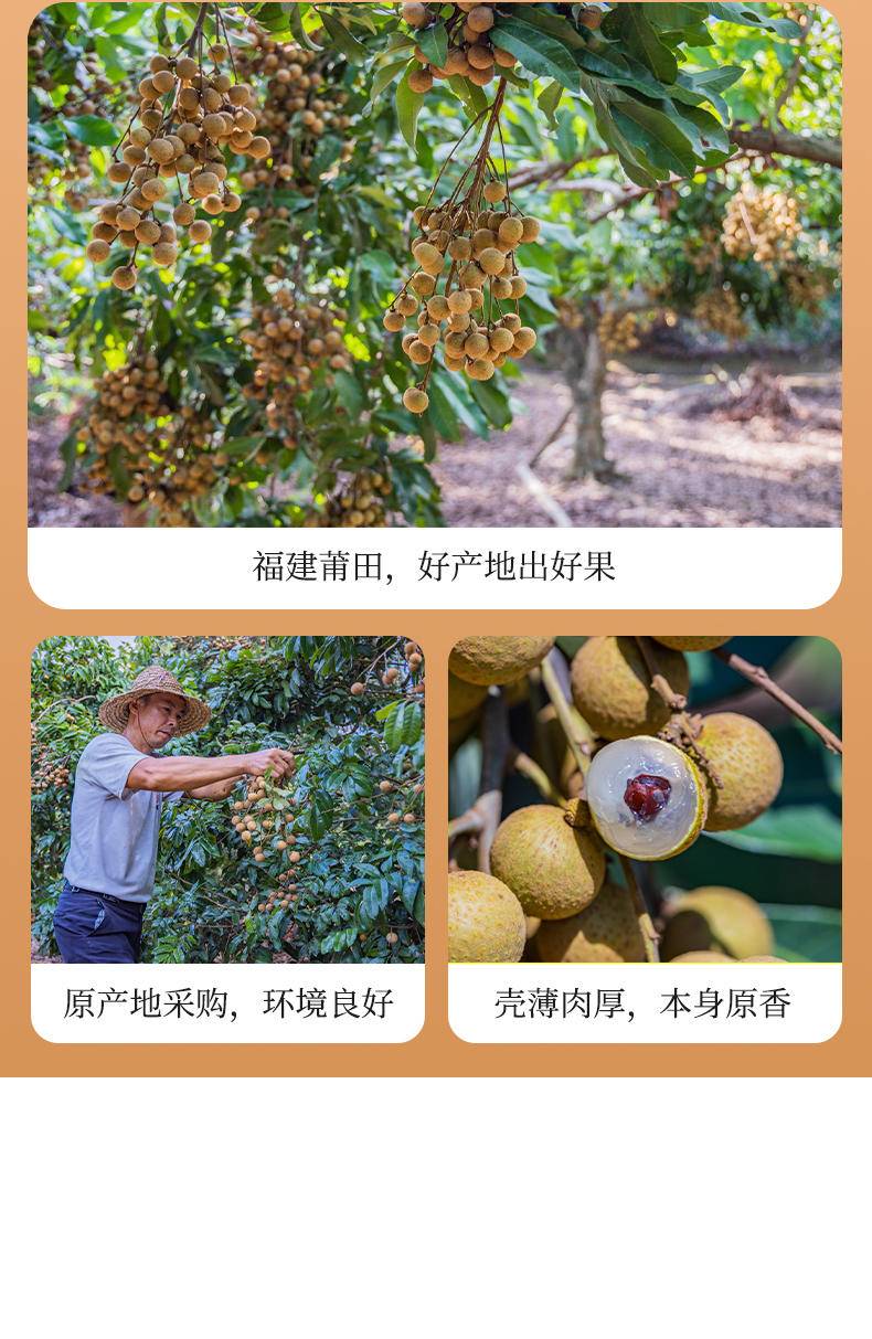 鲜珥家桂圆500g*1袋