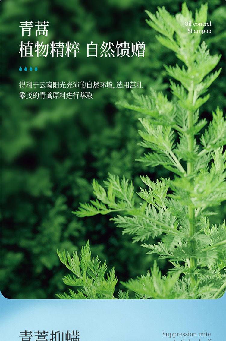 征服清爽止痒沐浴露335ml A2859