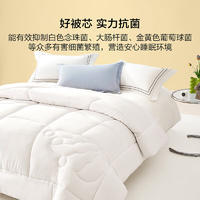 水星抱抱娷大豆抗菌冬被 531706