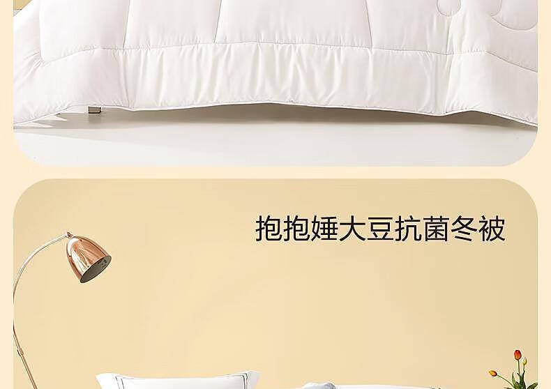 水星抱抱娷大豆抗菌冬被 531706