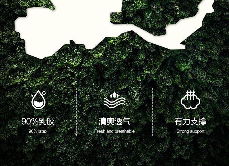 水星乐雅天然乳胶抗菌防螨对枕 537546