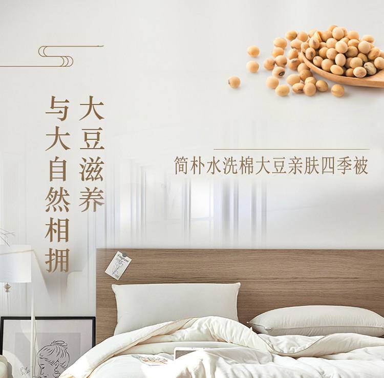 奥若拉简朴水洗棉大豆亲肤四季被1床200*230cm
