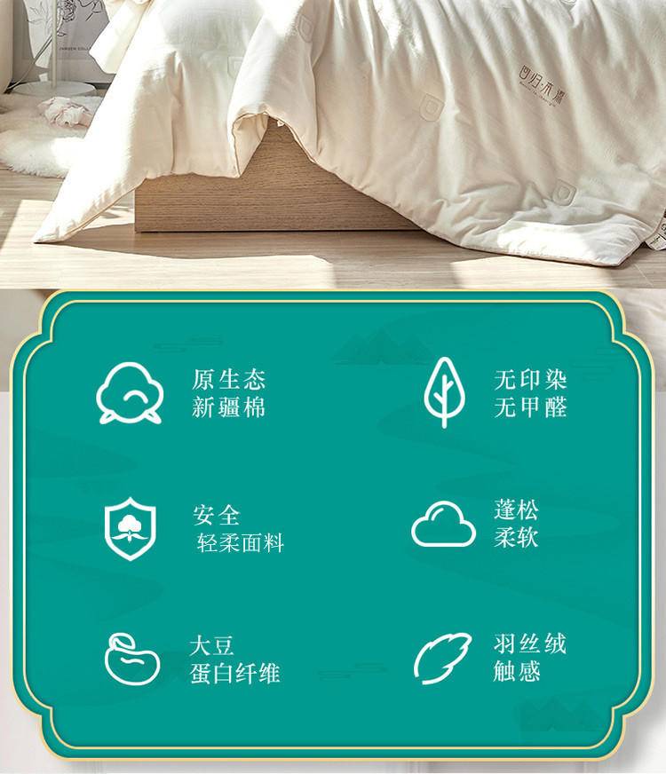 奥若拉简朴水洗棉大豆亲肤四季被1床200*230cm