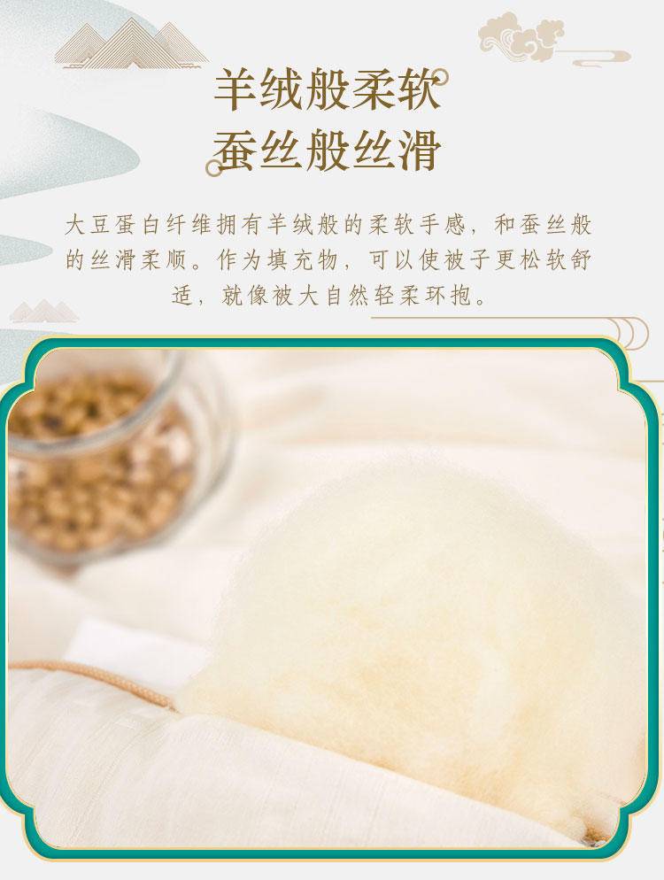 奥若拉简朴水洗棉大豆亲肤四季被1床200*230cm