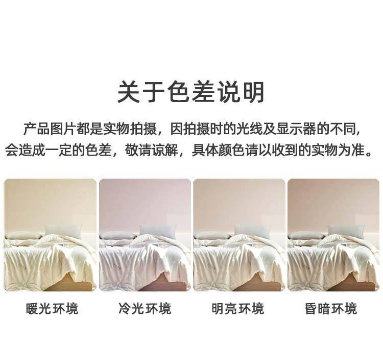 奥若拉简朴水洗棉大豆亲肤四季被1床200*230cm