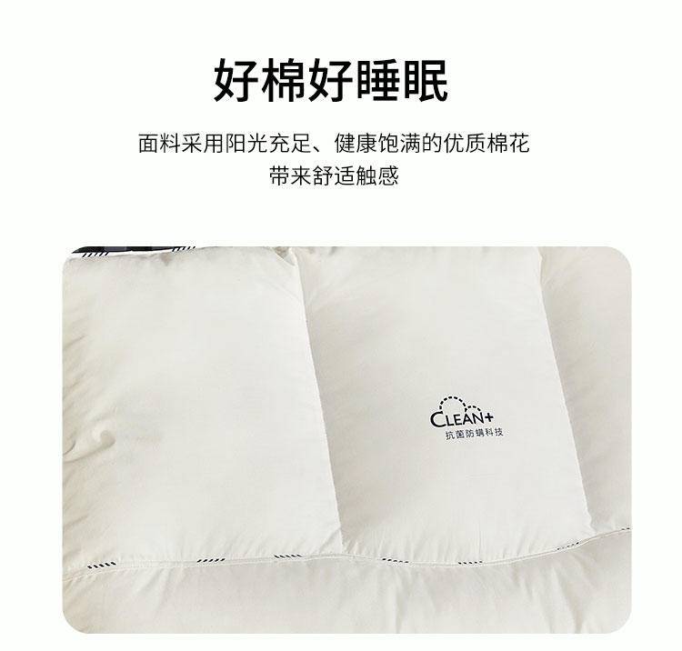 红瑞优品防螨抗菌蚕丝枕1个48*74cm
