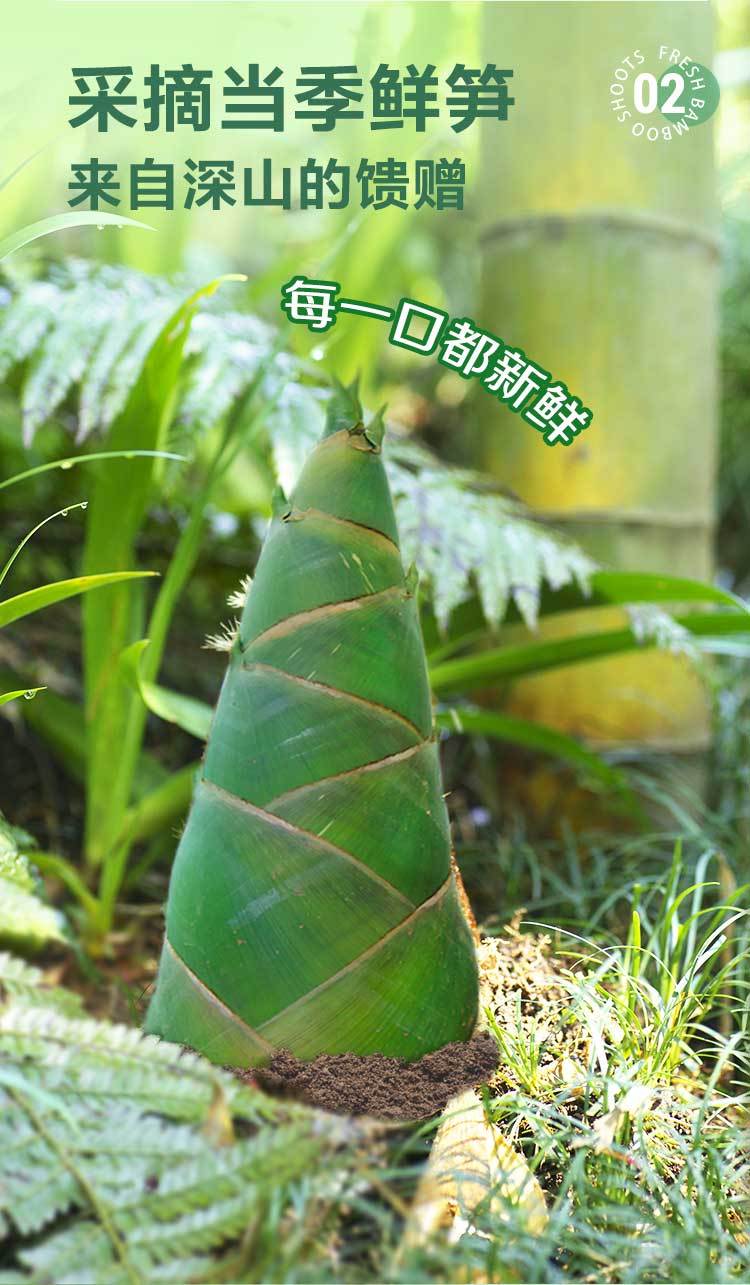 极野小轻笋300g*3包装