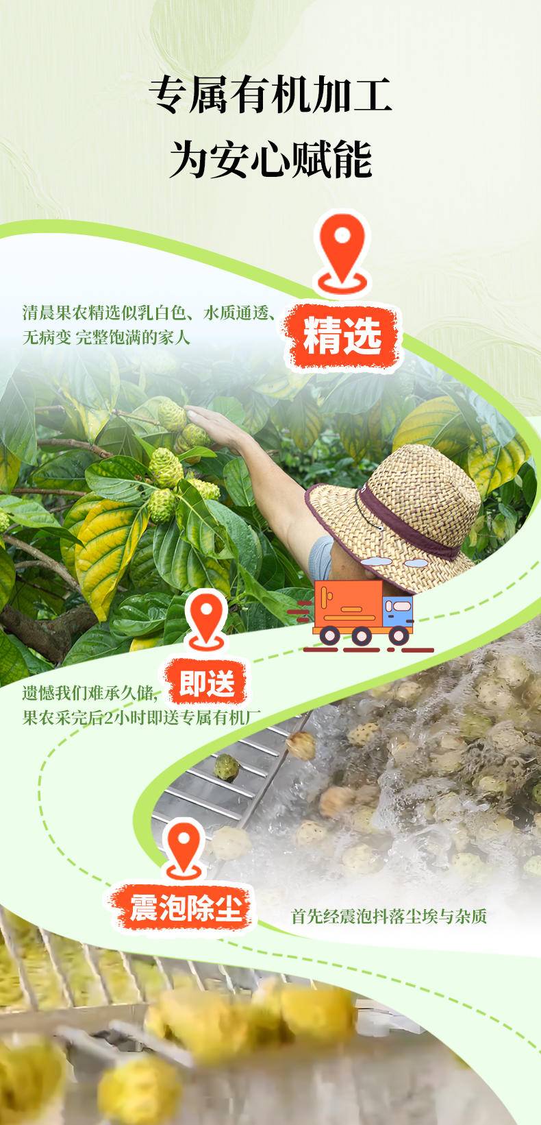 康蓓健 诺芙莱 有机诺丽酵素复合果汁30ml*10袋/盒