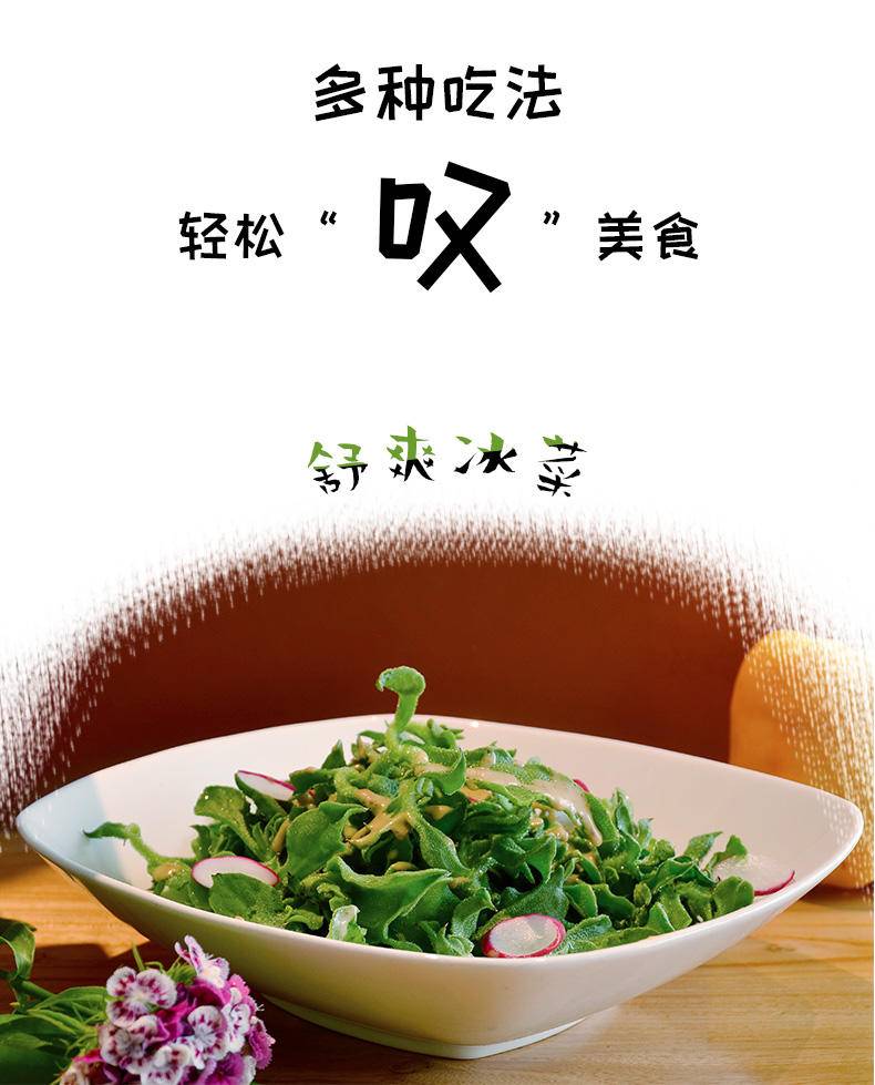“天禾”焙煎芝麻沙拉汁1.6L*瓶