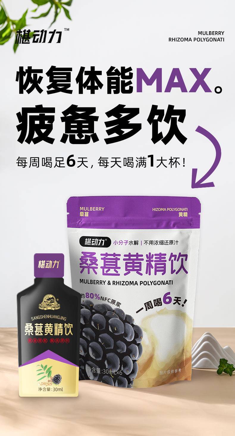 【集采】椹动力-桑椹精元饮