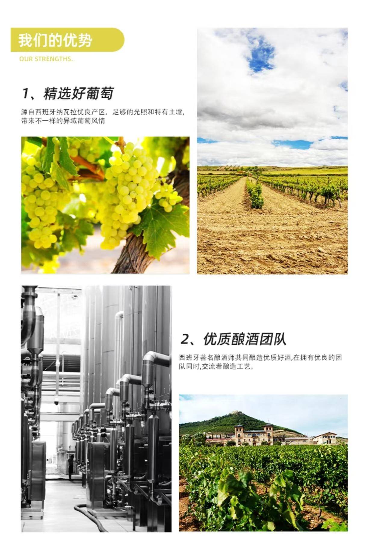逸金酒业 西班牙著名产区2022年份皇子威霞多丽干白葡萄酒海鲜大餐的绝配！