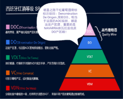 逸金酒业 西班牙2020年份朝圣之路干红葡萄酒 陈酿12个月以上橡木桶CRIANZA