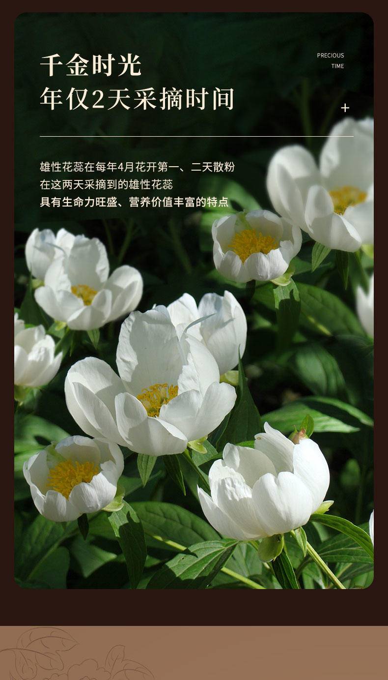 【秒杀】国花蕊尧舜牡丹国花蕊Pad茶1.5G*24袋