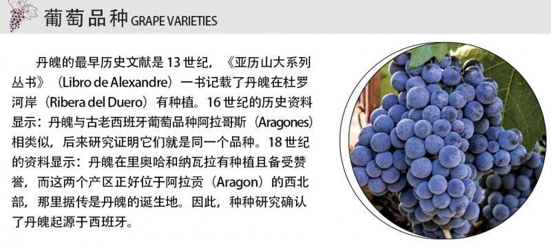 逸金酒业 西班牙2020年份朝圣之路干红葡萄酒 陈酿12个月以上橡木桶CRIANZA