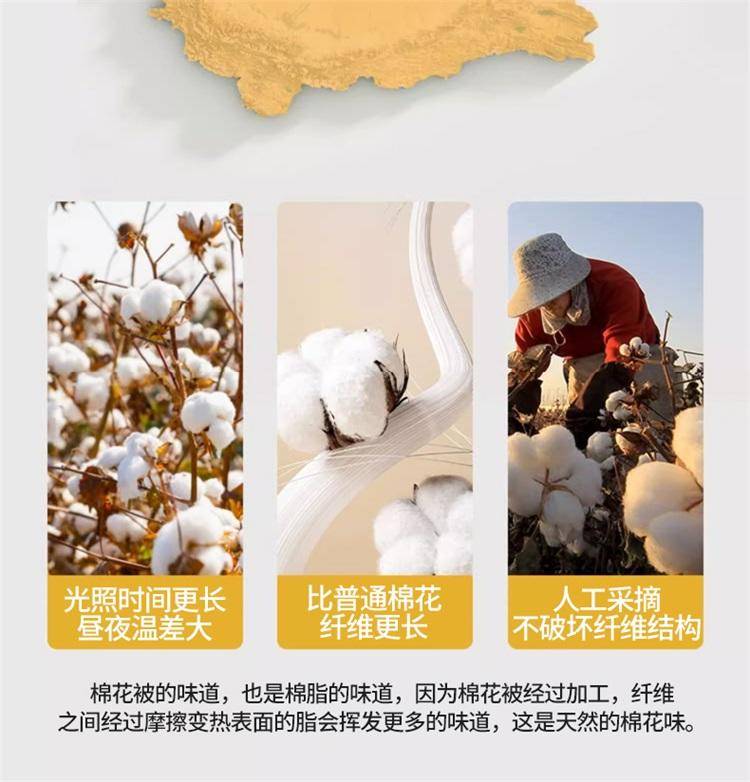 舒正 华夫格棉花被 蓬松保暖 粉色 浅绿色双色可选