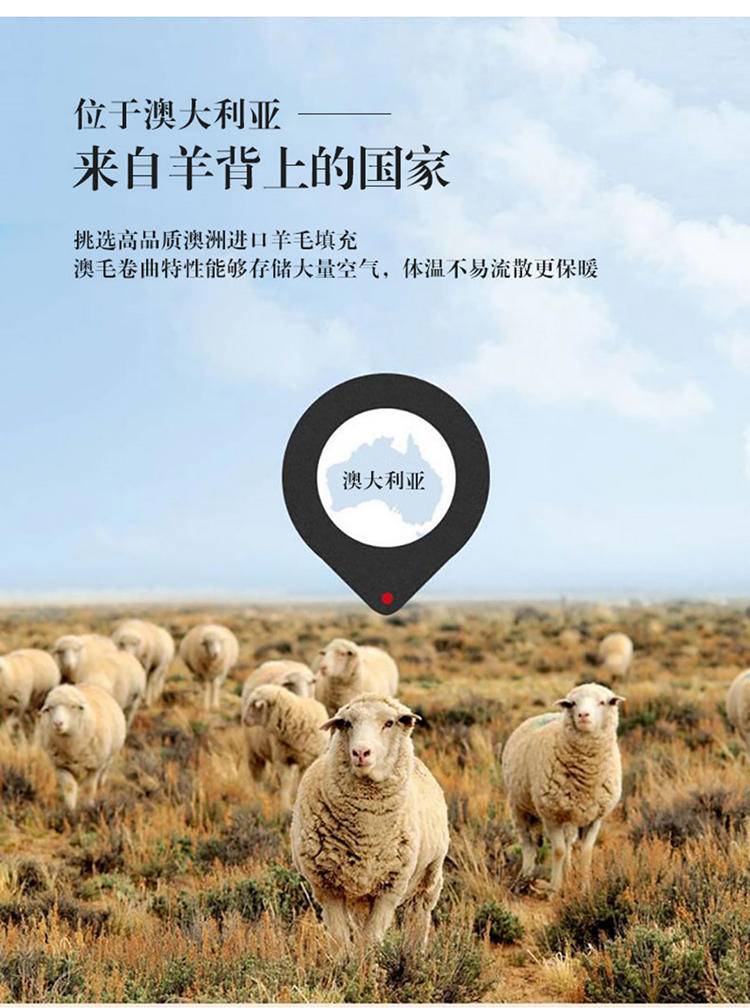 舒正 澳洲进口羊毛被 暖绒面料，手感细腻