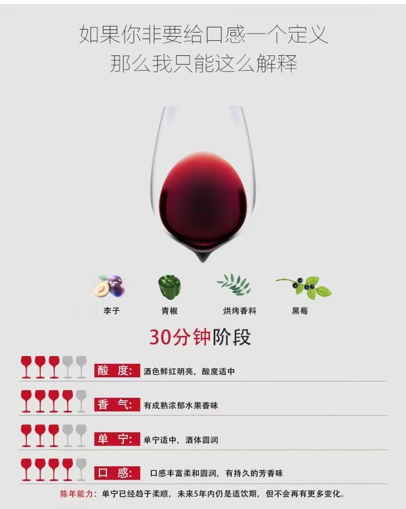 逸金酒业 西班牙纳瓦拉DO陈酿2019年份限量版皇子威干红葡萄酒年产4.5万瓶供全球经典混酿