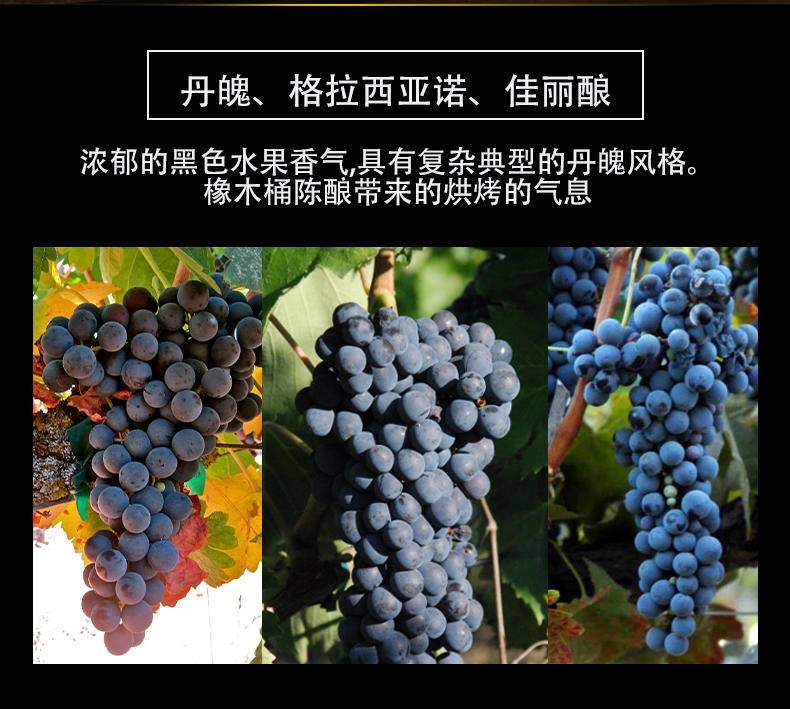 逸金酒业 大名鼎鼎产区RIOJA特级珍藏陈酿级别2009年份里奥哈唯佳干红葡萄酒