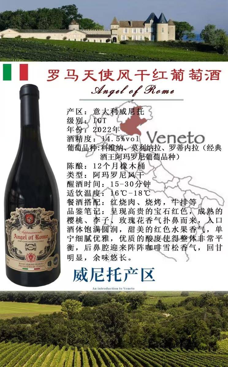 逸金酒业 意大利2022年份罗马天使风干红葡萄酒意大利酒王经典葡萄品种