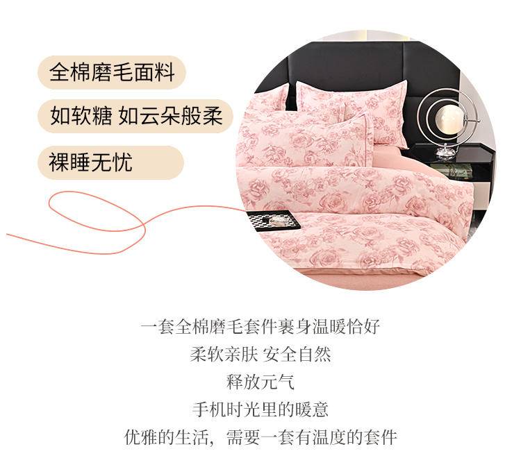 舒正 纯棉磨毛四件套