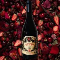 逸金酒业 意大利2022年份罗马天使风干红葡萄酒意大利酒王经典葡萄品种