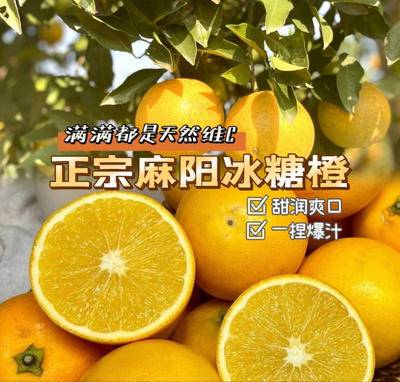 【下架缺货】【集采】正宗湖南麻阳冰糖橙8.5-9斤大果40－45个*10箱【果径】55-60mm