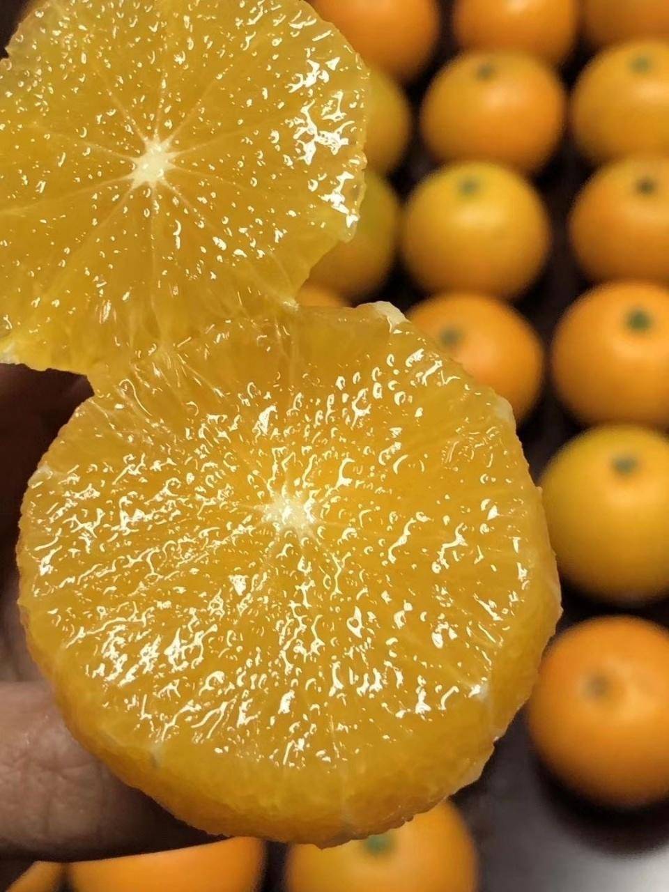 【下架缺货】【集采】正宗湖南麻阳冰糖橙8.5-9斤大果40－45个*10箱【果径】55-60mm