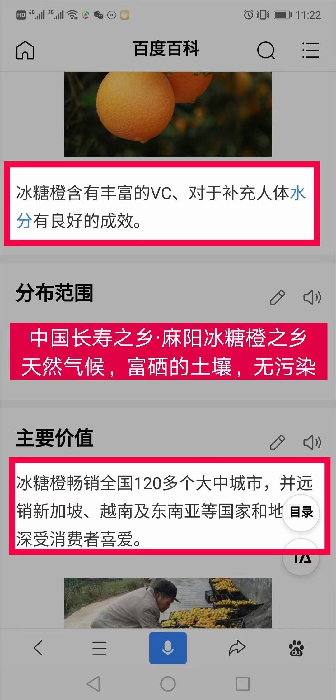 【下架缺货】【集采】正宗湖南麻阳冰糖橙8.5-9斤大果40－45个*10箱【果径】55-60mm