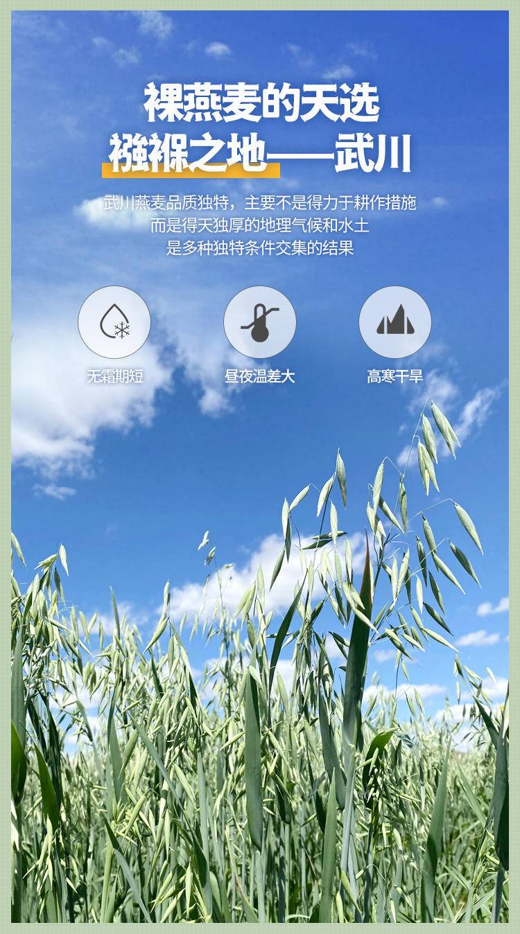 七醉·犁捌苑·燕麦胚芽米3盒（每盒500g）