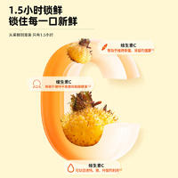【限时】百果坚坚刺梨原浆-天然VC宝库