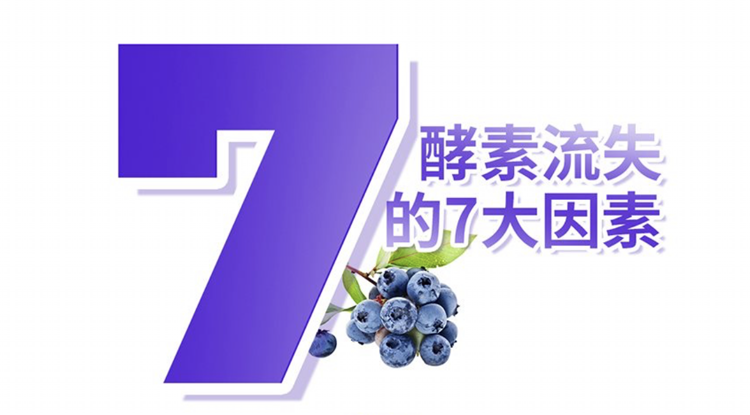 兰畔心选果利仕高山黑加仑酵素饮料原液50ml*7瓶嗨吃排清宿便肠益生菌饮品