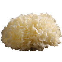 【采集】鲜珥家鲜银耳130g*60朵