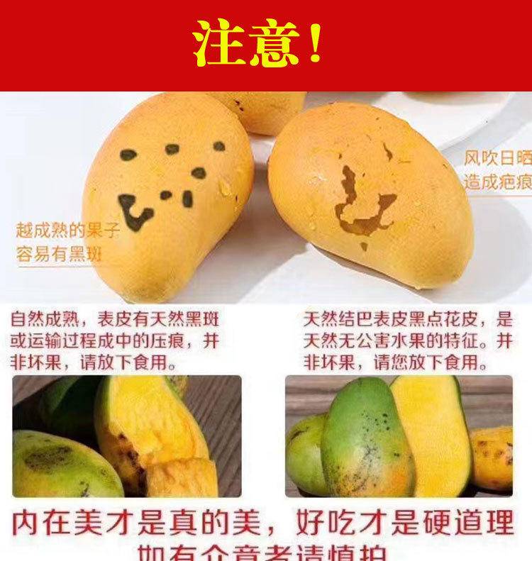 海南小台芒3-9斤新鲜台农树上熟芒果整箱现发热带应季水果