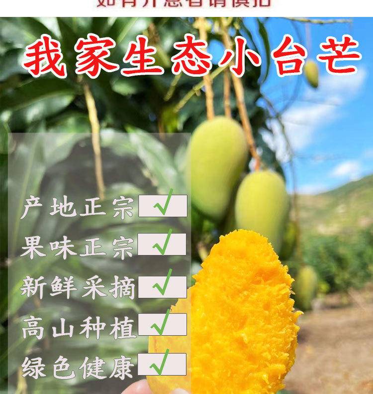 海南小台芒3-9斤新鲜台农树上熟芒果整箱现发热带应季水果