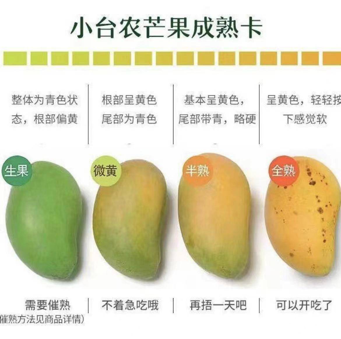 海南小台芒3-9斤新鲜台农树上熟芒果整箱现发热带应季水果
