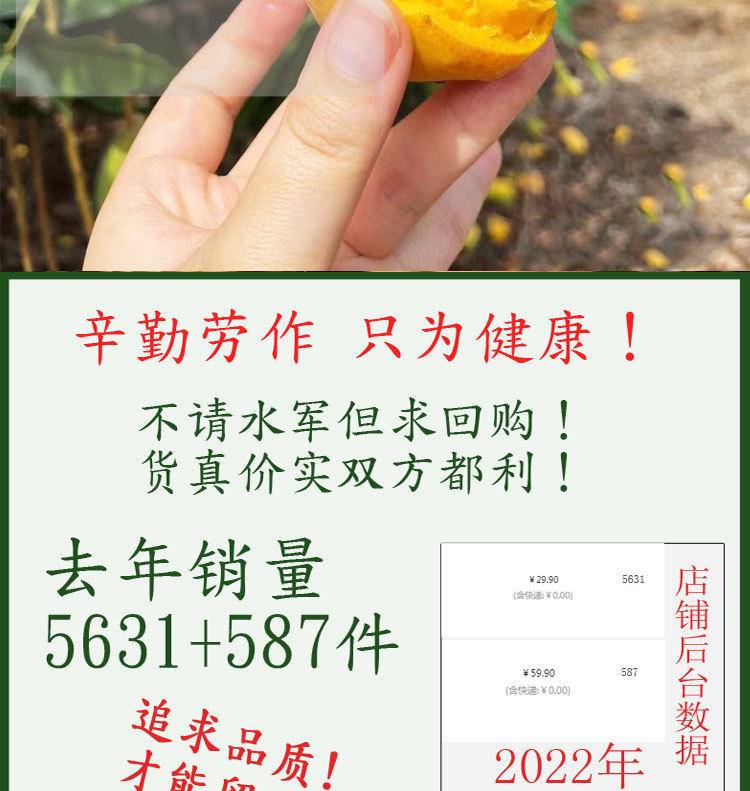 海南小台芒3-9斤新鲜台农树上熟芒果整箱现发热带应季水果