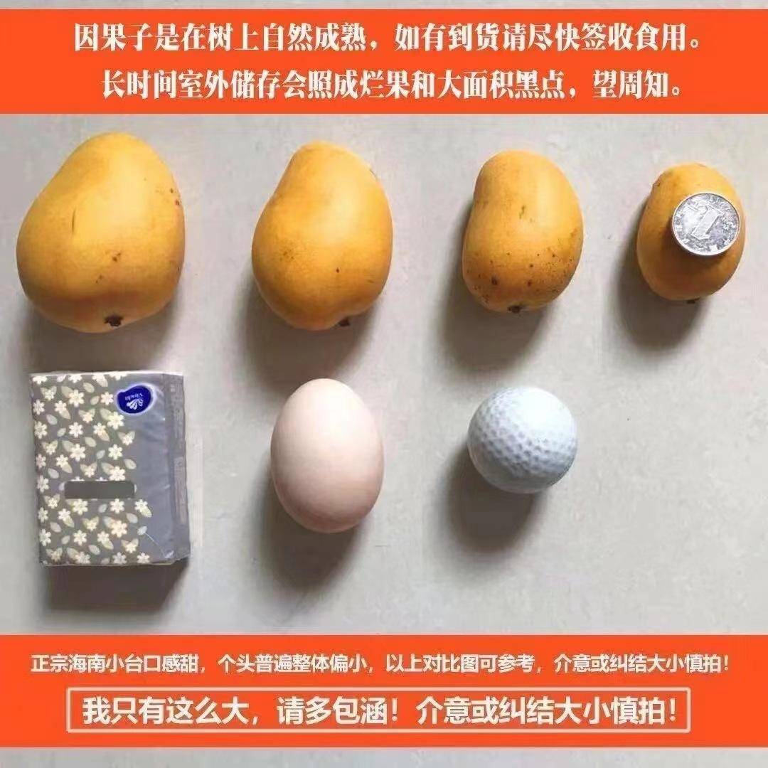 海南小台芒3-9斤新鲜台农树上熟芒果整箱现发热带应季水果