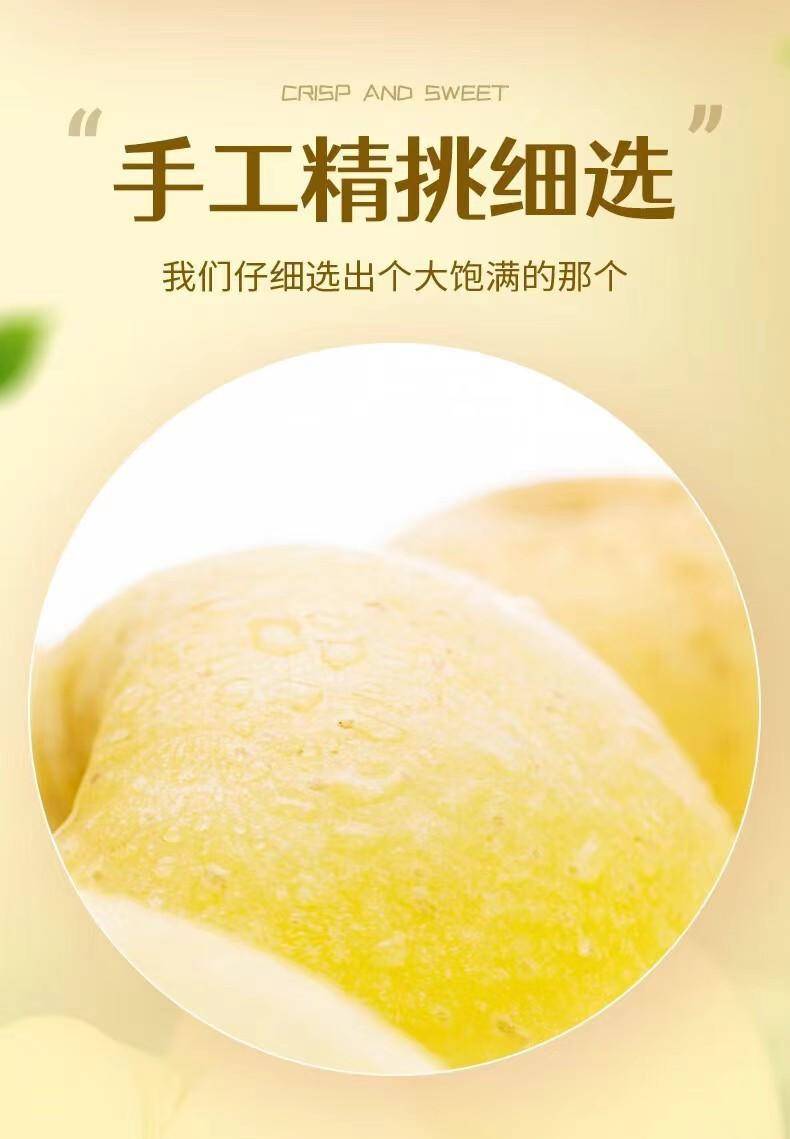 山东黄金奶油苹果2.5-9斤富士礼维纳斯基地烟台产地包邮