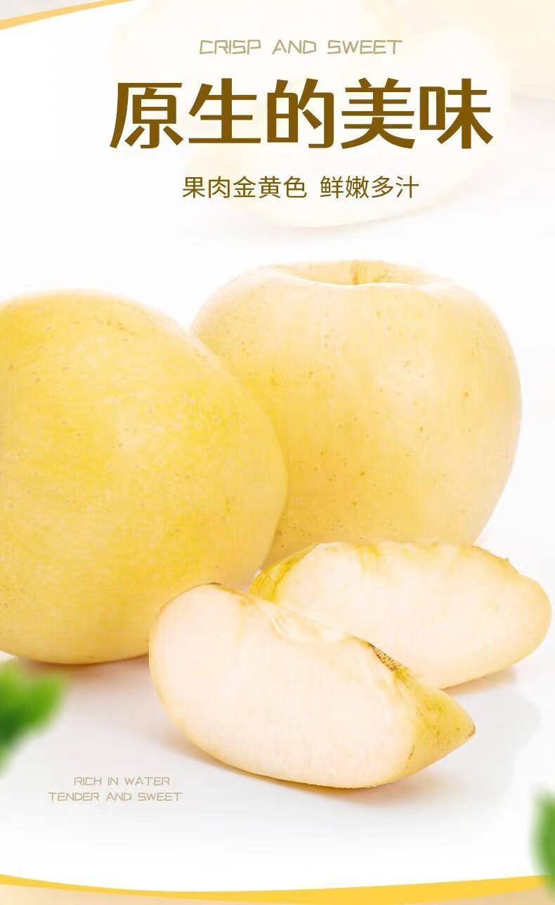 山东黄金奶油苹果2.5-9斤富士礼维纳斯基地烟台产地包邮