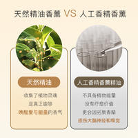 魔天然【全球进口】石缝花开香薰精油 卧室车载