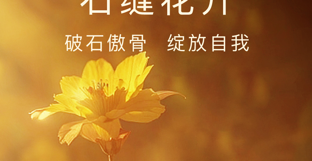 魔天然【全球进口】石缝花开香薰精油 卧室车载