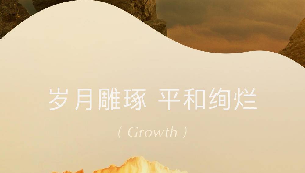 魔天然【全球进口】石缝花开香薰精油 卧室车载