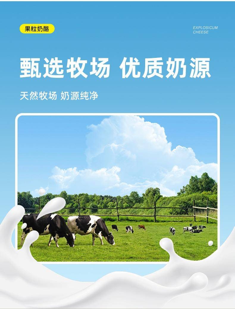 乳乐美酸奶小奶贝内蒙古奶疙瘩草莓味散装休闲零食果粒小圆奶酪片