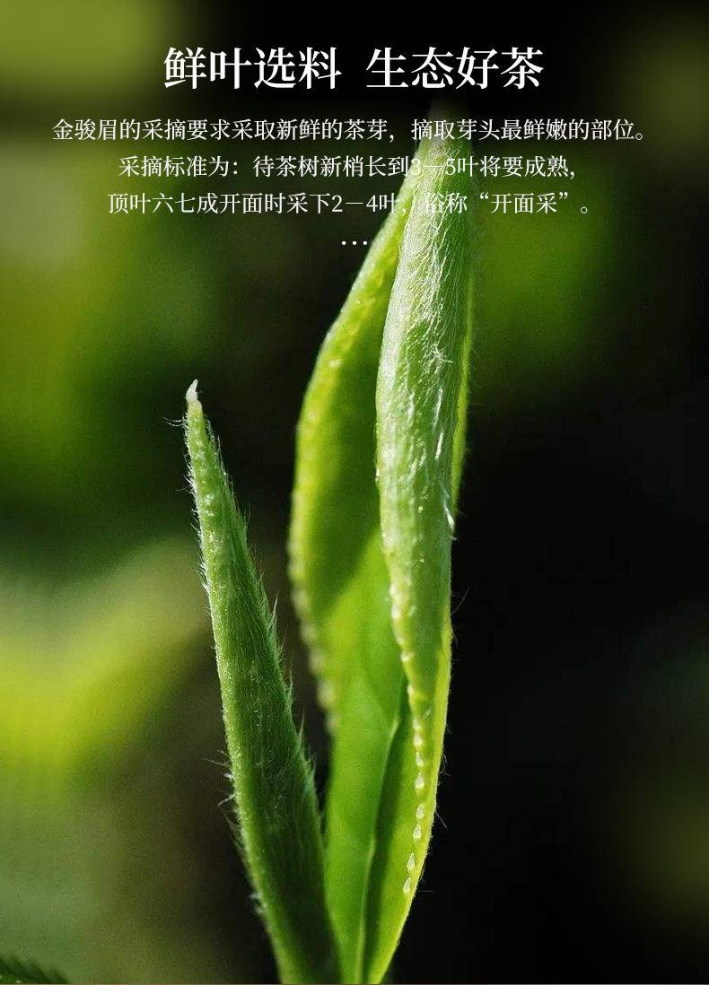 鸣龙尊享金骏眉