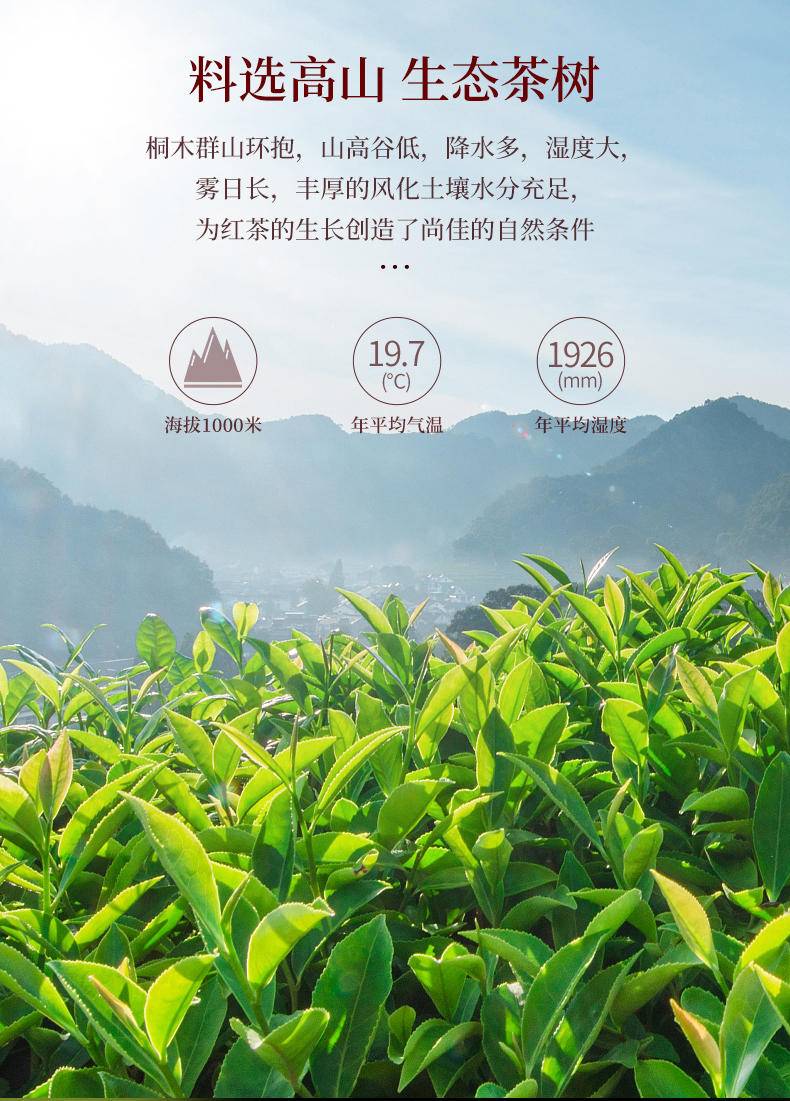 鸣龙尊享金骏眉
