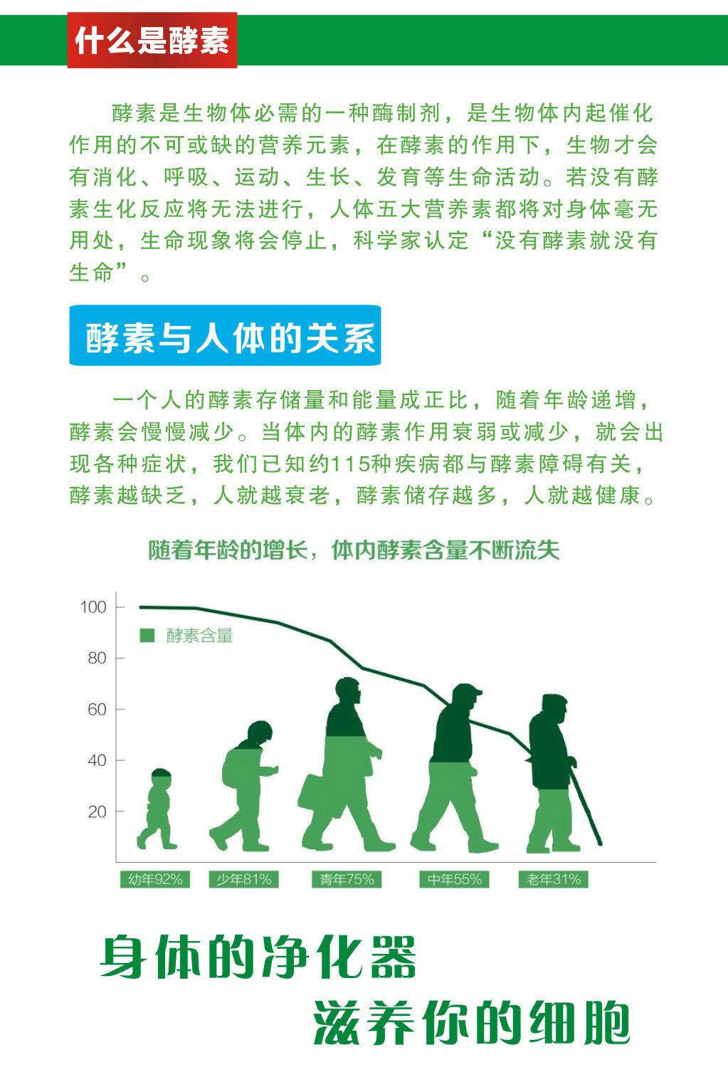 康蓓健 诺丽酵素原液
