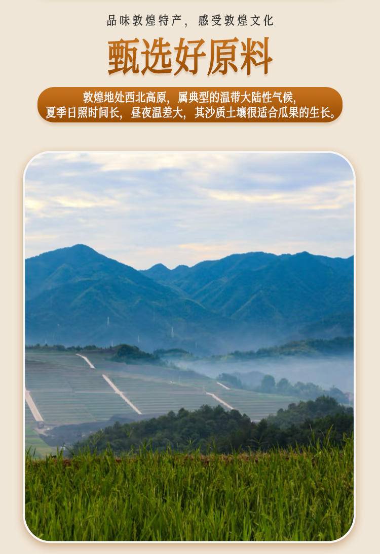 不上架敦煌特产 核桃250g*袋