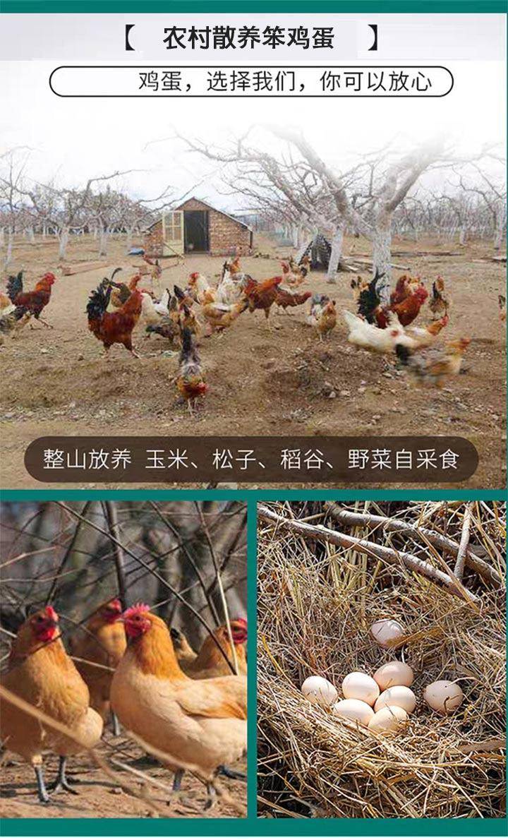张氏蜂产品专供冠鳌农村散养土鸡蛋笨鸡蛋40枚/箱